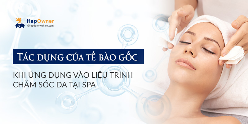 Tác dụng của tế bào gốc ứng dụng vào các liệu trình spa