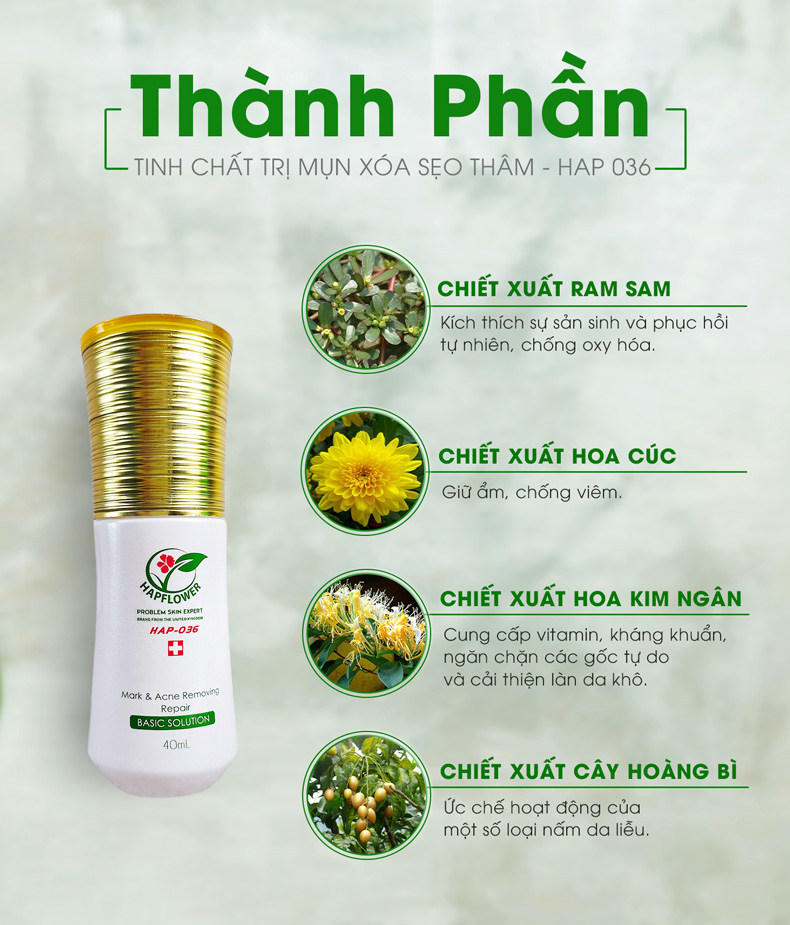 HAP036 3 ThanhPhan